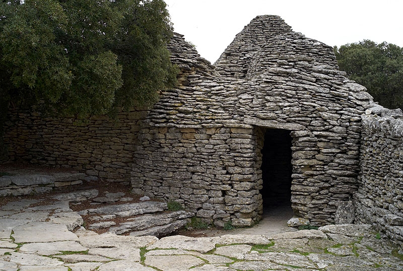 L1003700_800.jpg