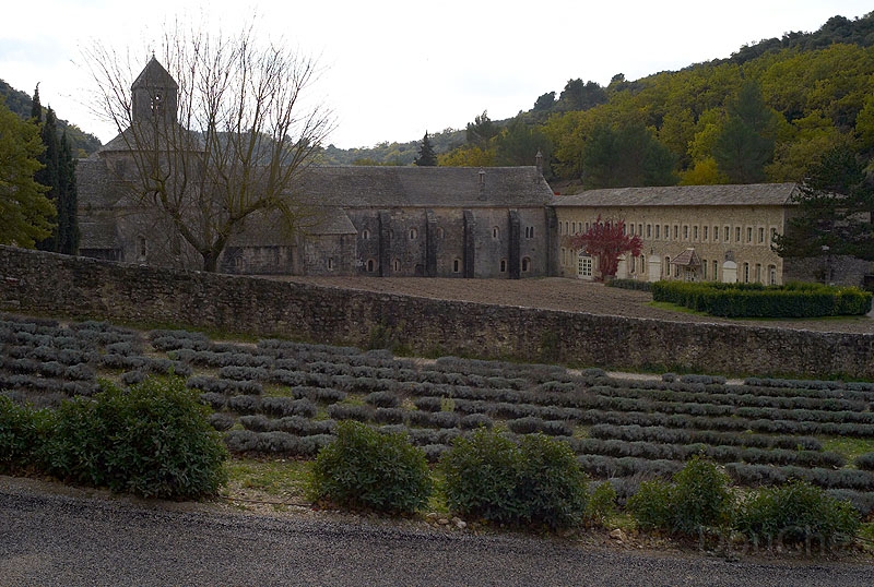 L1003724_800.jpg
