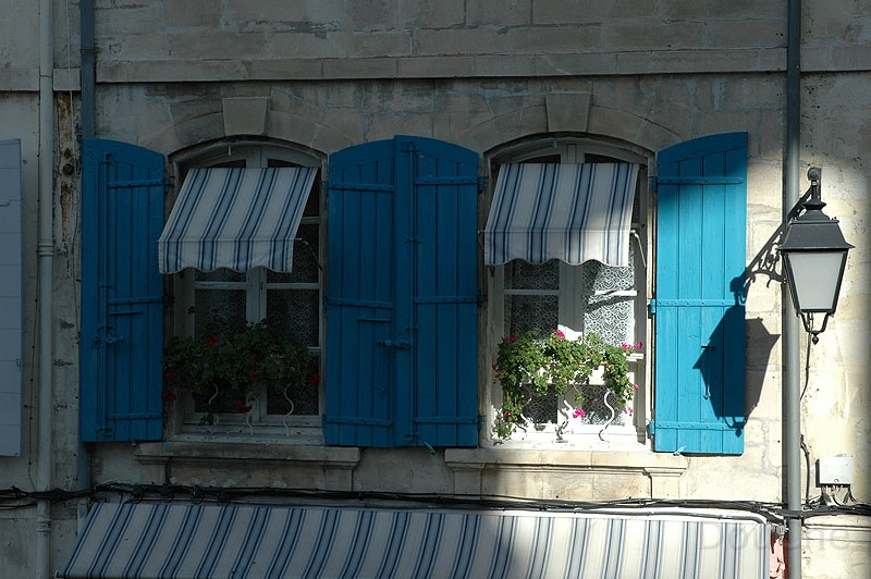 DSC_0388_800.jpg