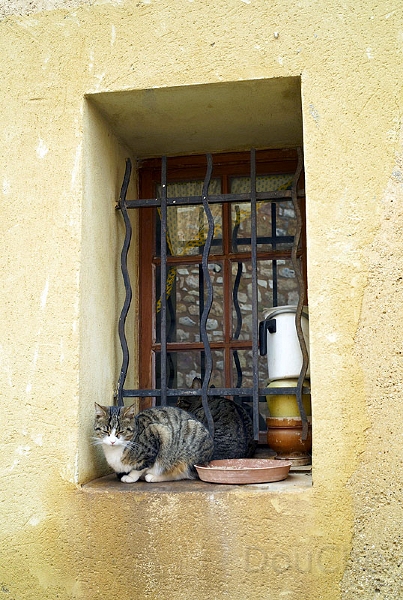 L1003755_800.jpg