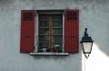 DSC_0387_800