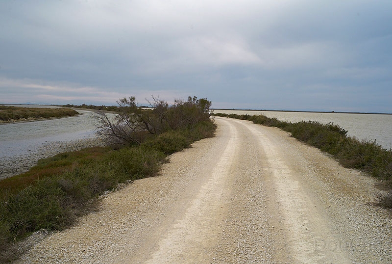 L1003486_800.jpg