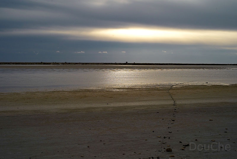 L1003488_800.jpg