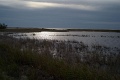 L1003483_800