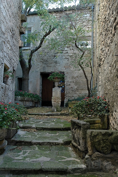 DSC_0342_800.jpg