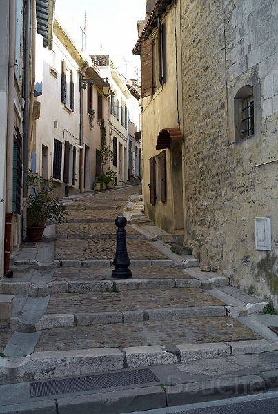 L1003617_800.jpg