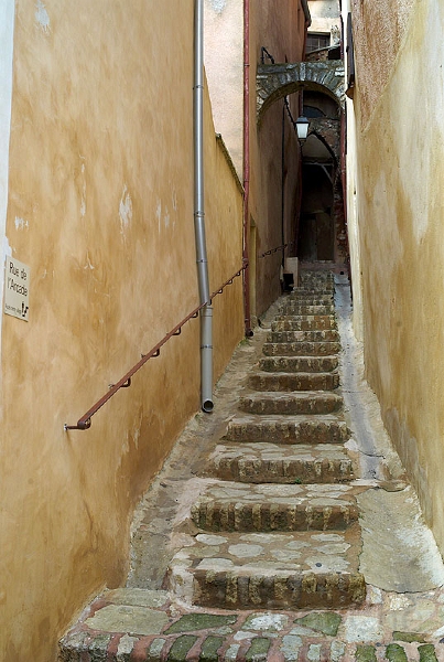 L1003738_800.jpg