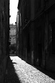L1003397_800_BW