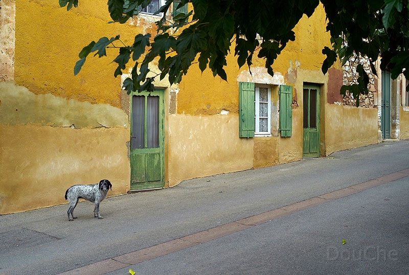 L1003729_800.jpg