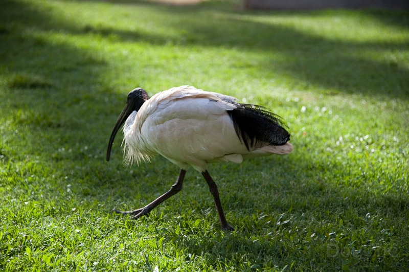 DSC_1704.jpg