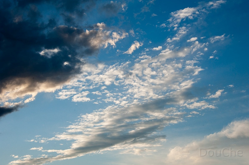 DSC_1750.jpg