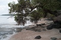 L1008809