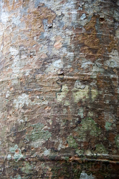 DSC_1877.jpg