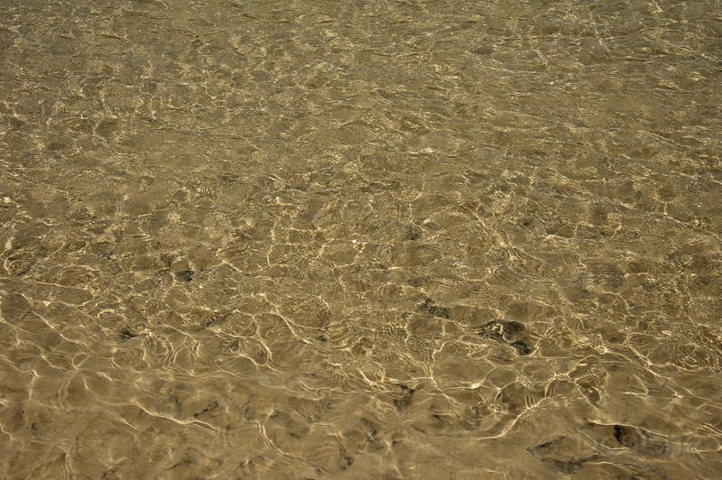 DSC_1922.jpg