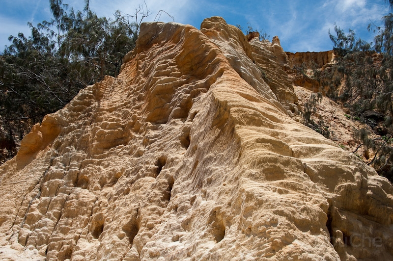 DSC_1970.jpg