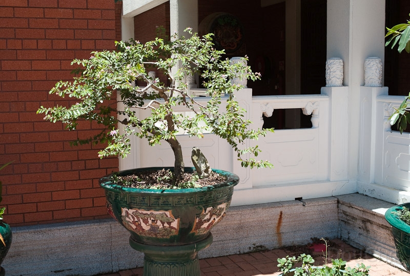 L1008872.jpg