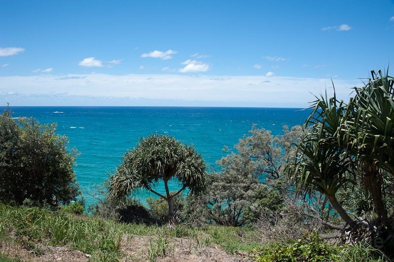 DSC_2052.jpg - Believe it, the blues in real are much nicer.