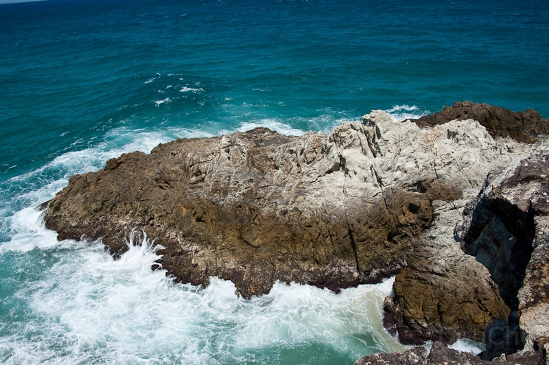 DSC_2156.jpg