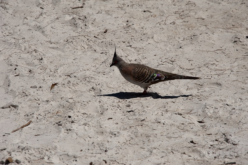 DSC_2180.jpg