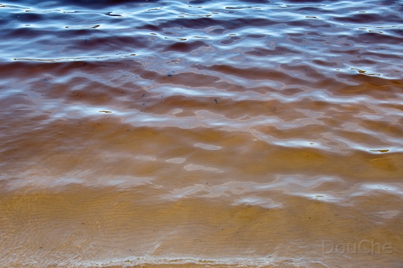 DSC_2219.jpg