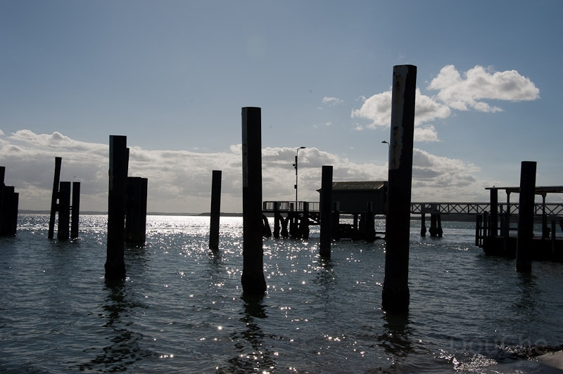 DSC_2233.jpg