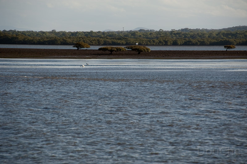 DSC_2256.jpg