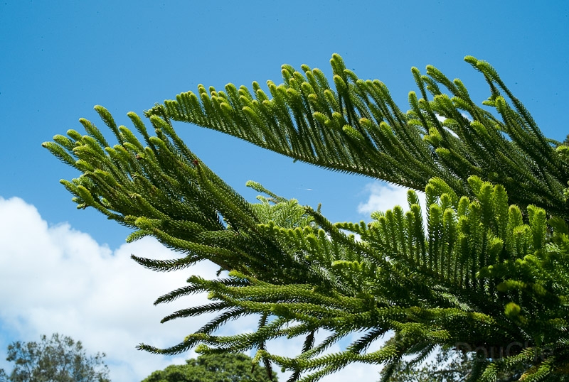 L1008416.jpg