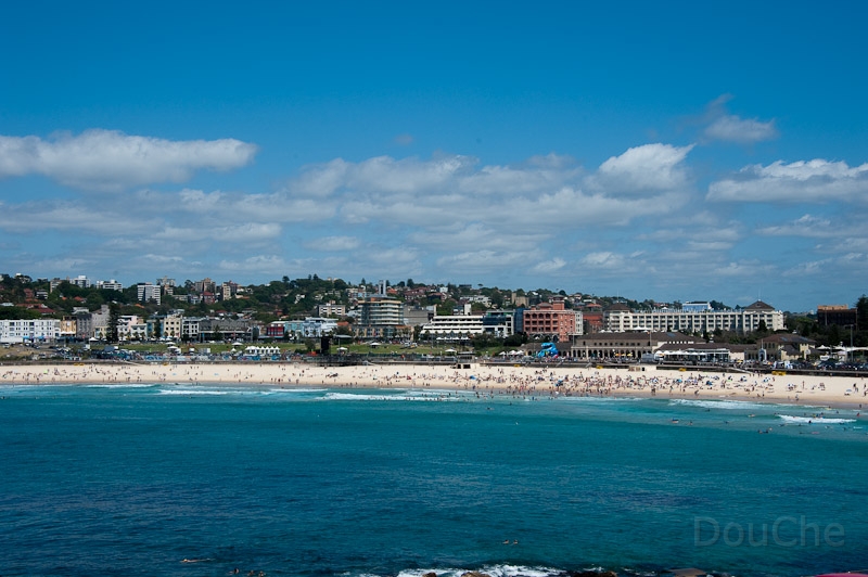 DSC_2584.jpg