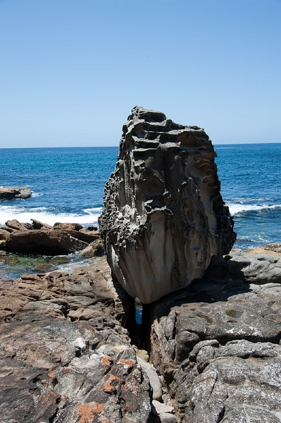 DSC_2621.jpg