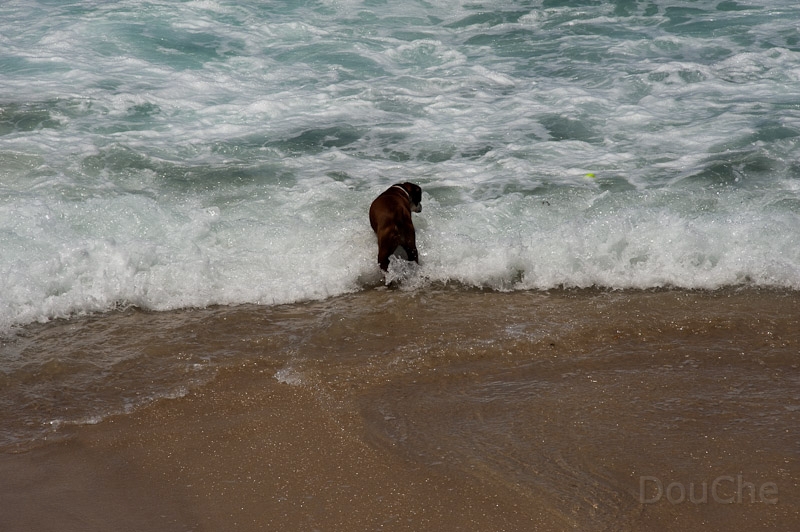 DSC_2630.jpg