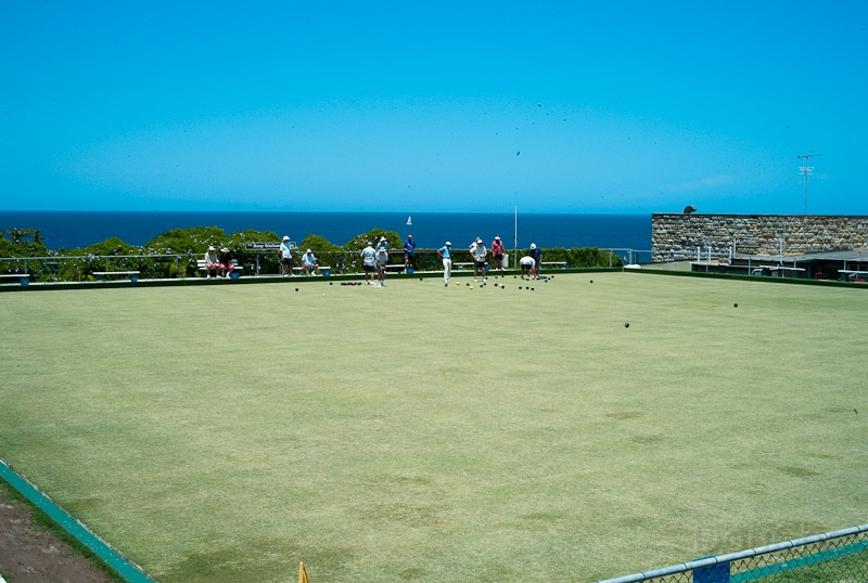 L1009008.jpg
