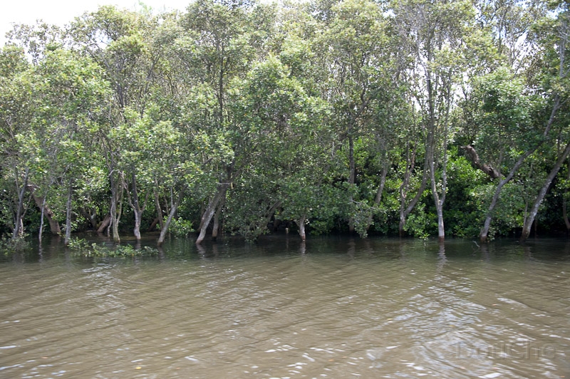 DSC_0916.jpg