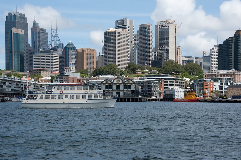 DSC_0947.jpg