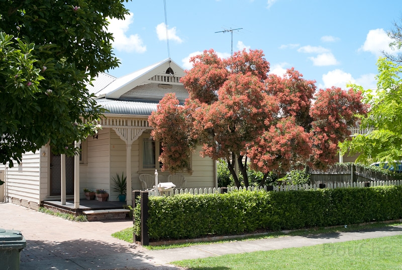 L1008455.jpg