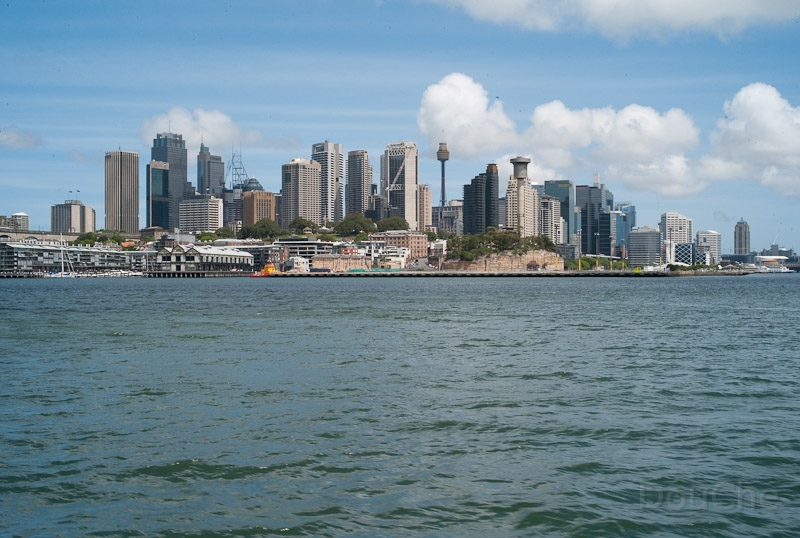 L1008485.jpg
