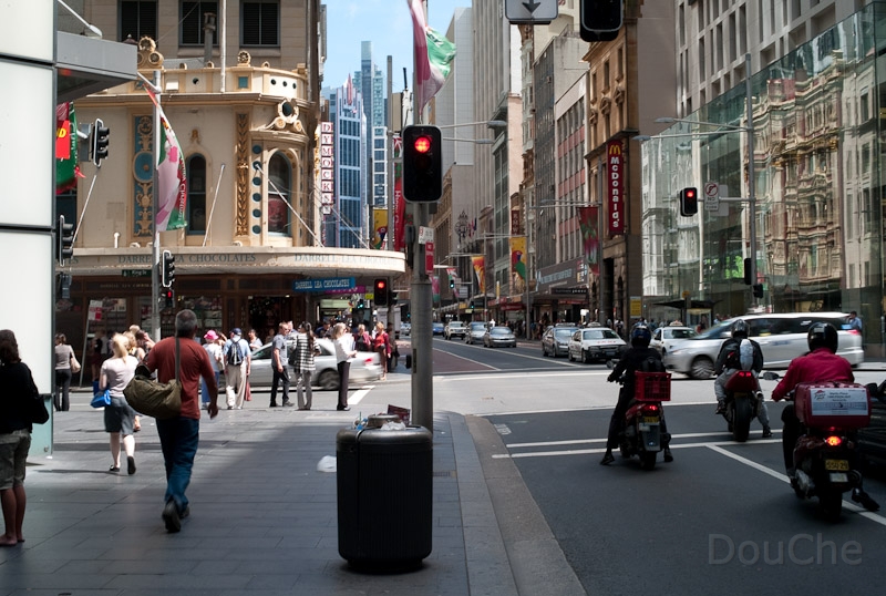 L1008498.jpg
