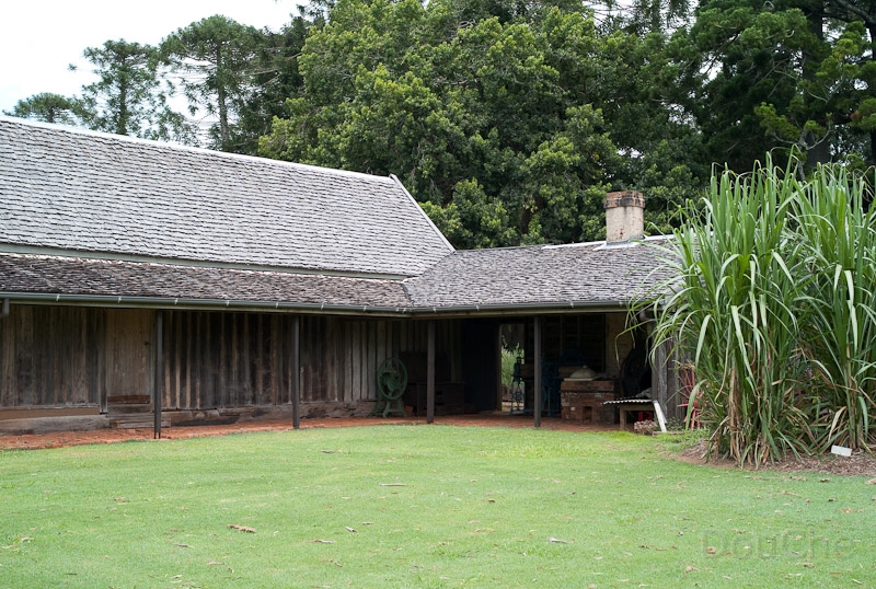 L1008593.jpg