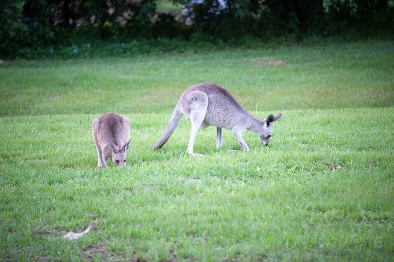 DSC_1418.jpg