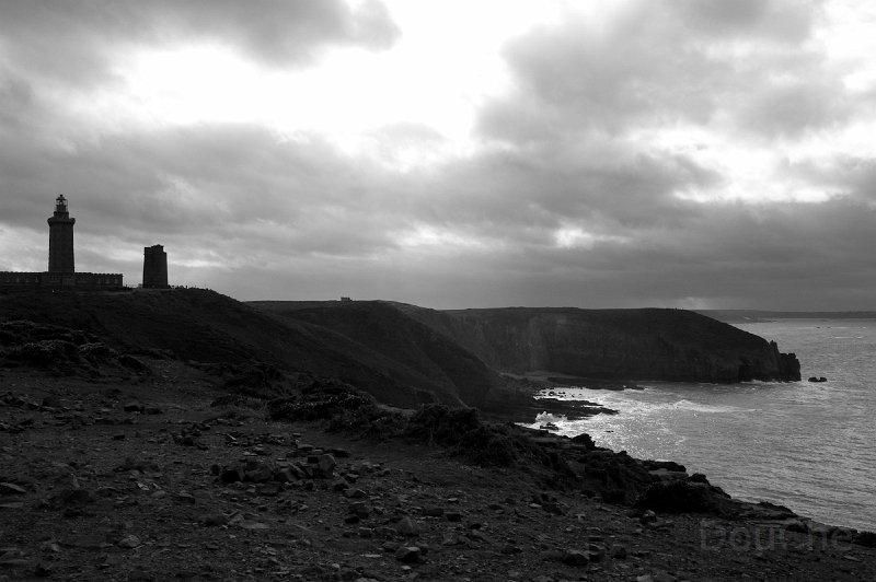 DSC_0343.jpg
