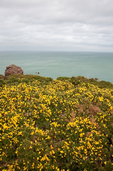 DSC_0363.jpg