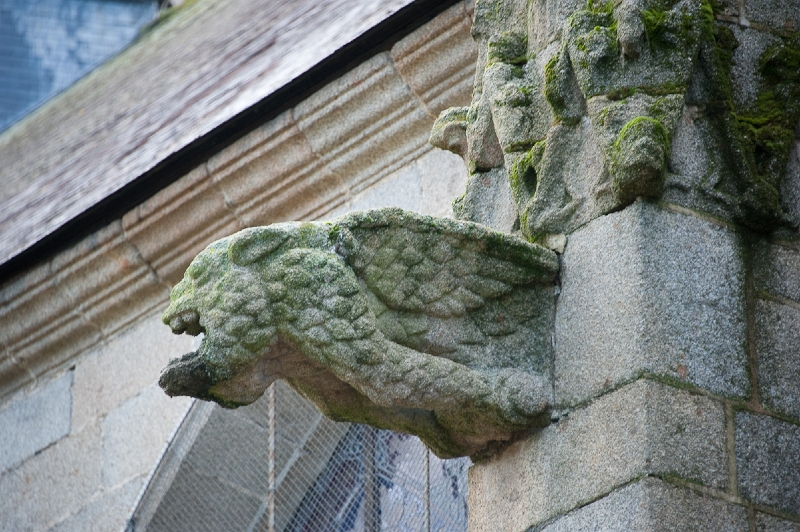 DSC_0622.jpg