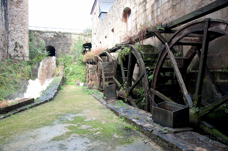 DSC_0627.jpg