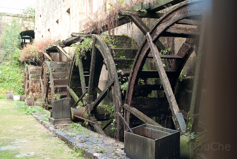 L1008377.jpg
