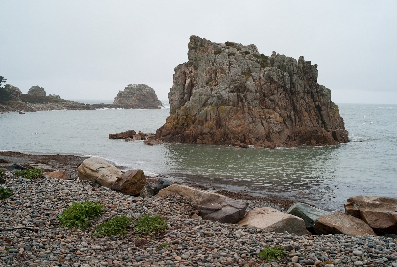 L1008250.jpg