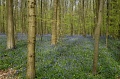 DSC_0033_out