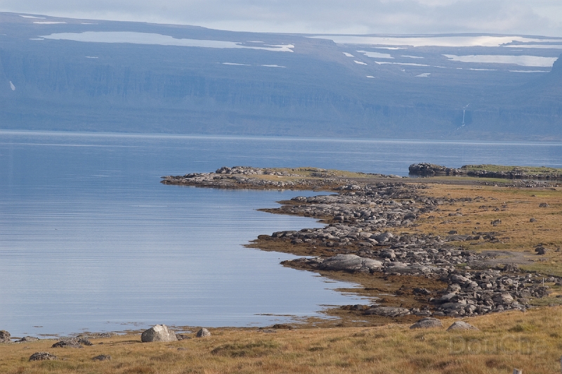 DSC_0298.jpg