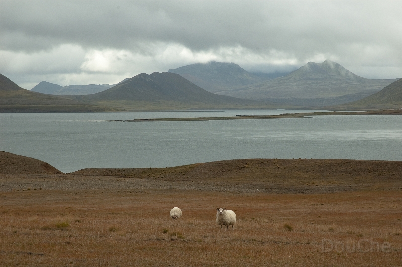 DSC_0057.jpg