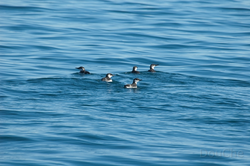 DSC_0067.jpg