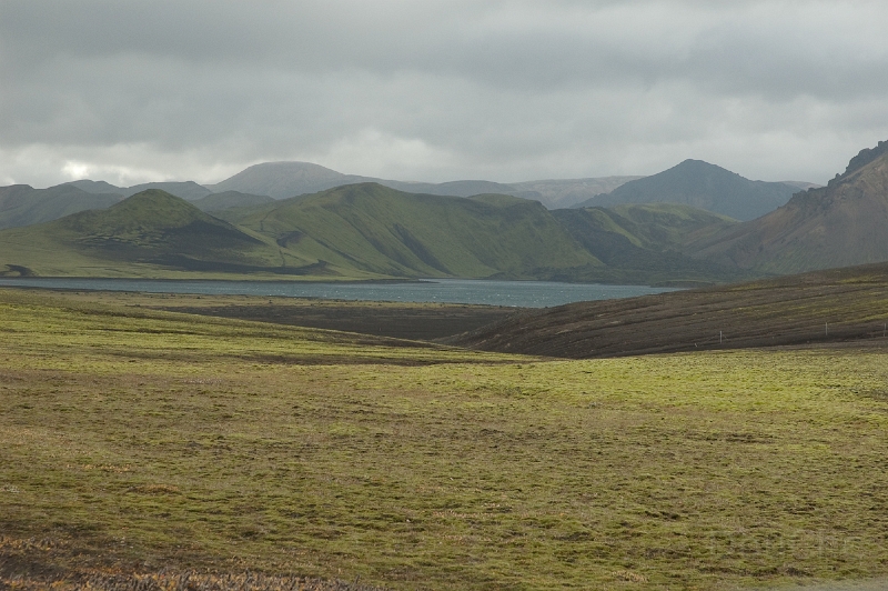 DSC_0148.jpg