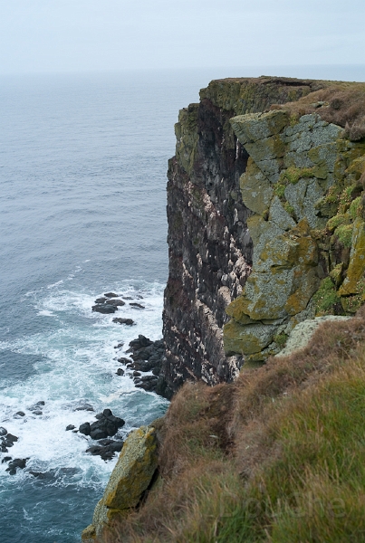 L1007393.jpg